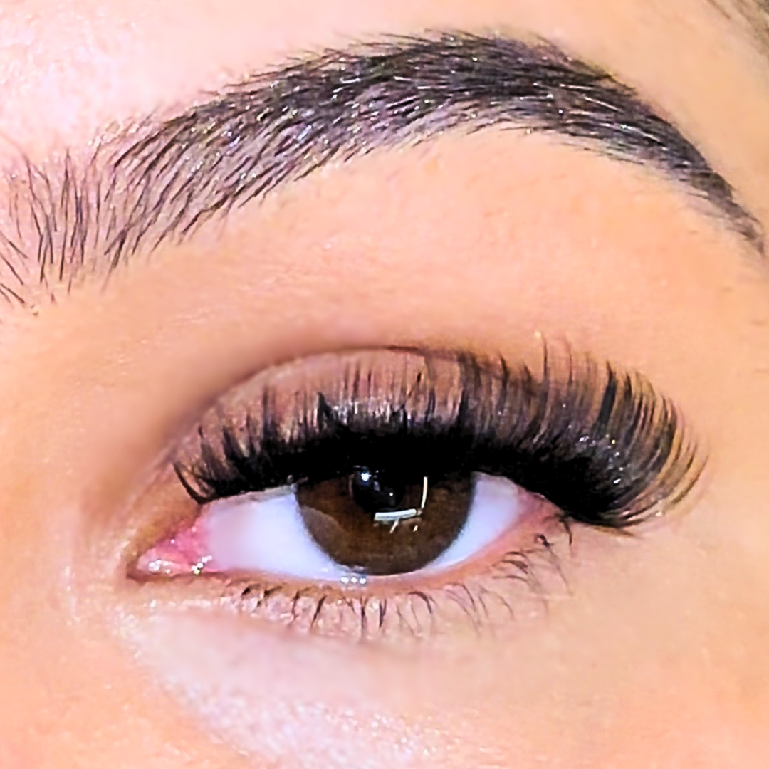 DIY LASH KIT - VOLUME